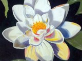 Water Lily 1 (sold)